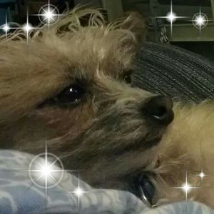 Meet your Posher, Cheresa